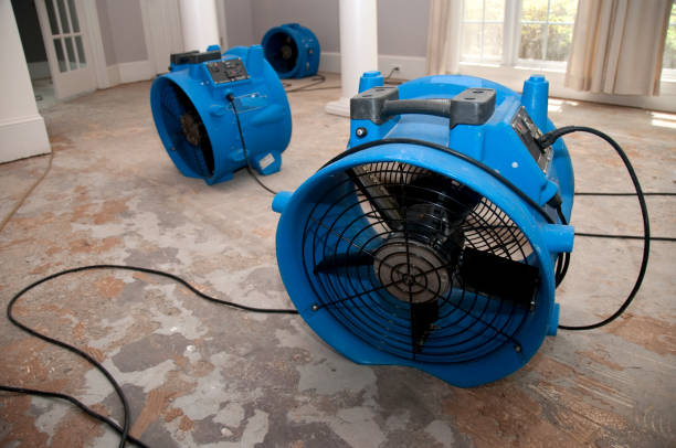  Slocom, AL Water damage restoration Pros