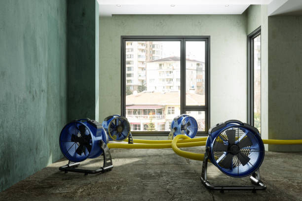 Best Water damage restoration near me  in Slocom, AL